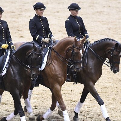 Le Cadre noir en gala… sur Youtube