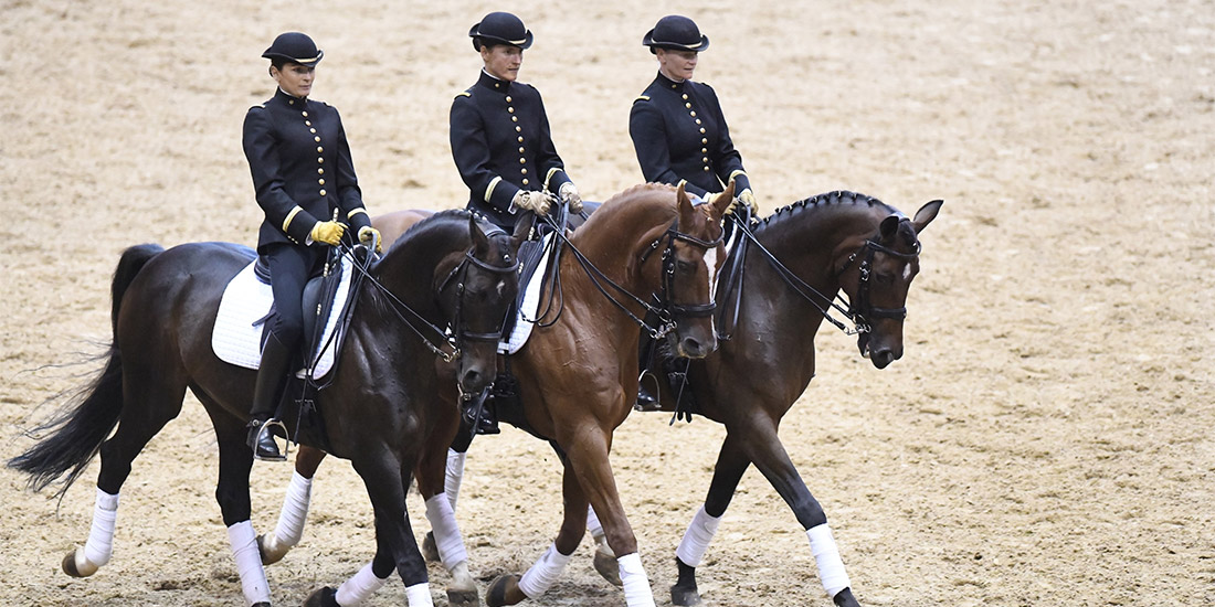 Le Cadre noir en gala… sur Youtube