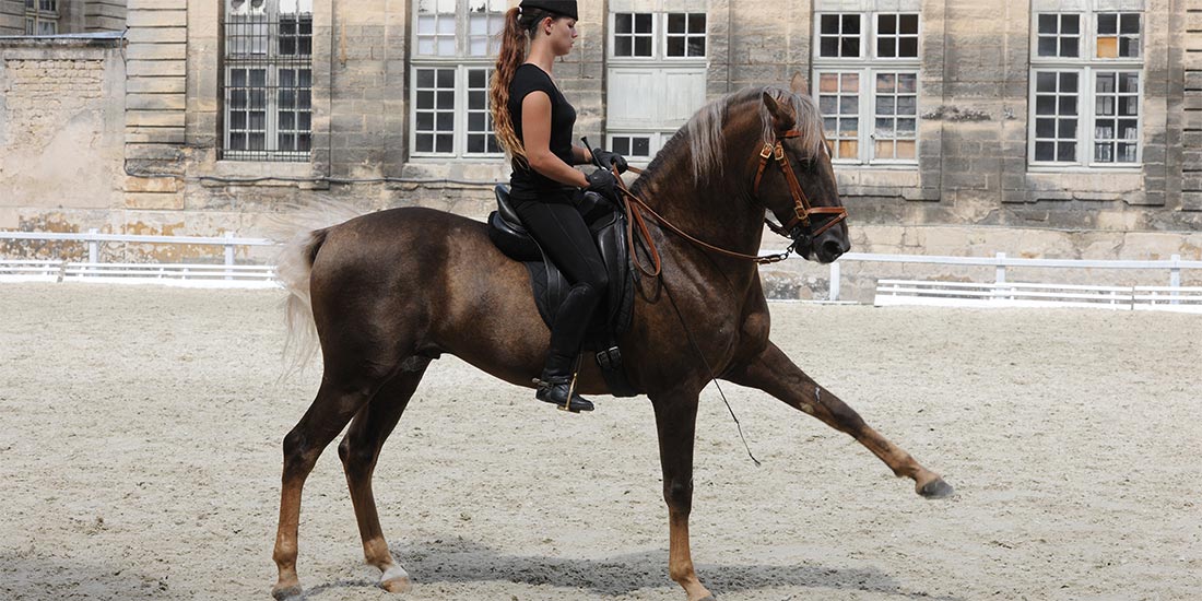 Cheval Magazine fait écho du soutien aux thèses de la MFCE