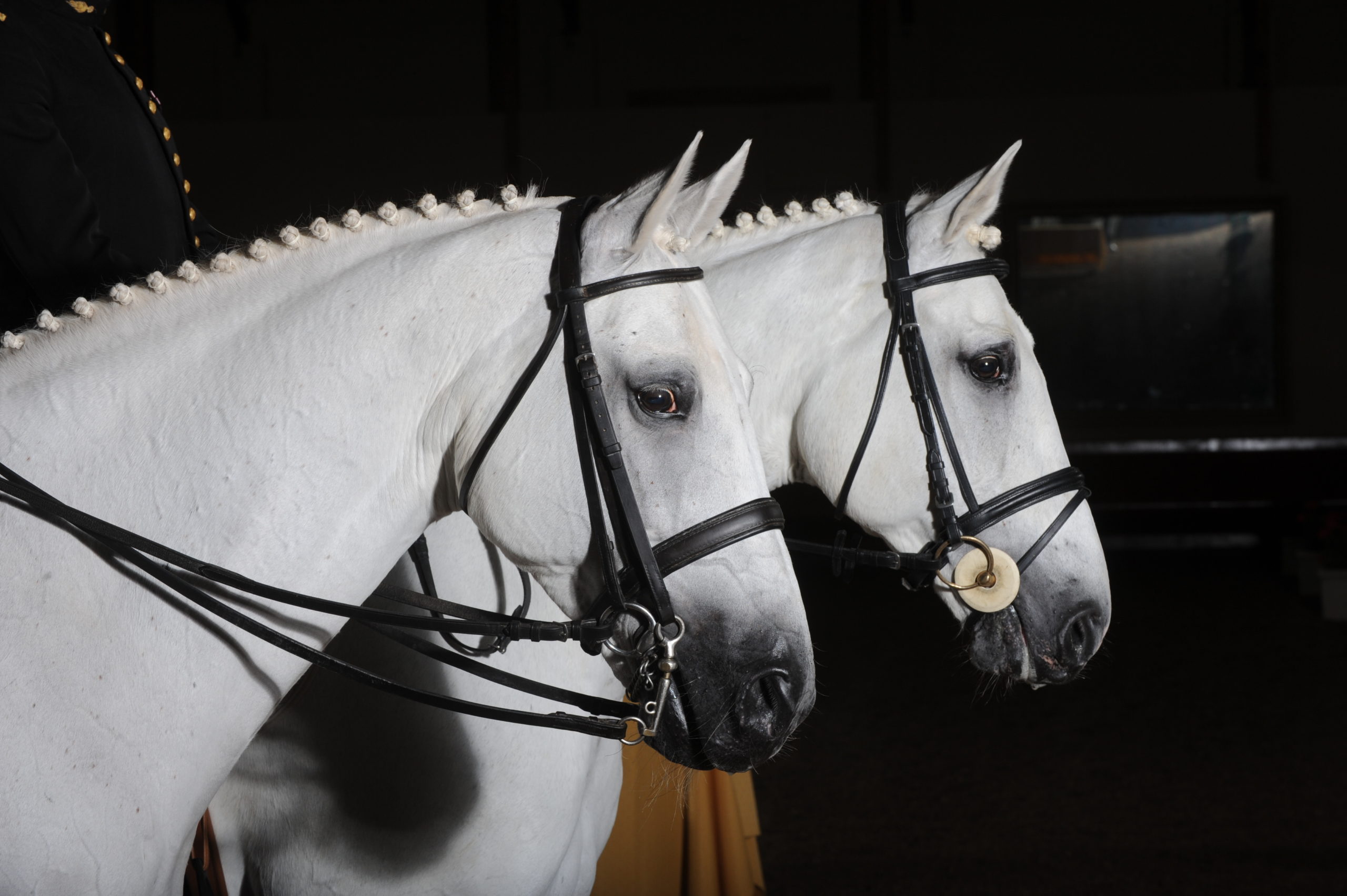 La MFCE sur Linkedin, Facebook, Instagram et Twitter