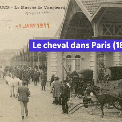 Le-cheval-dans-Paris-G-Bouchet (Demo)