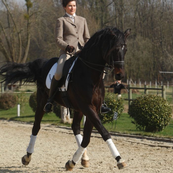 L’équitation française, un patrimoine vivant, et pour vous Catherine Henriquet ?