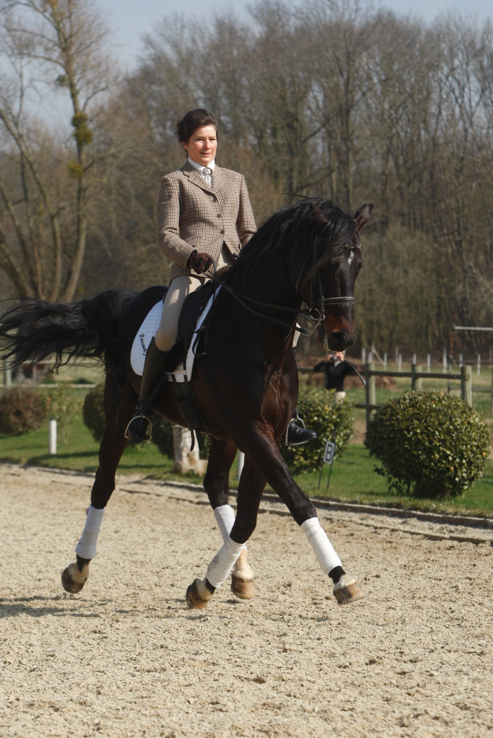 L’équitation française, un patrimoine vivant, et pour vous Catherine Henriquet ?