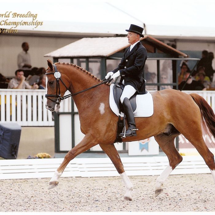 L’équitation française, un patrimoine vivant, et pour vous, Franck David ?