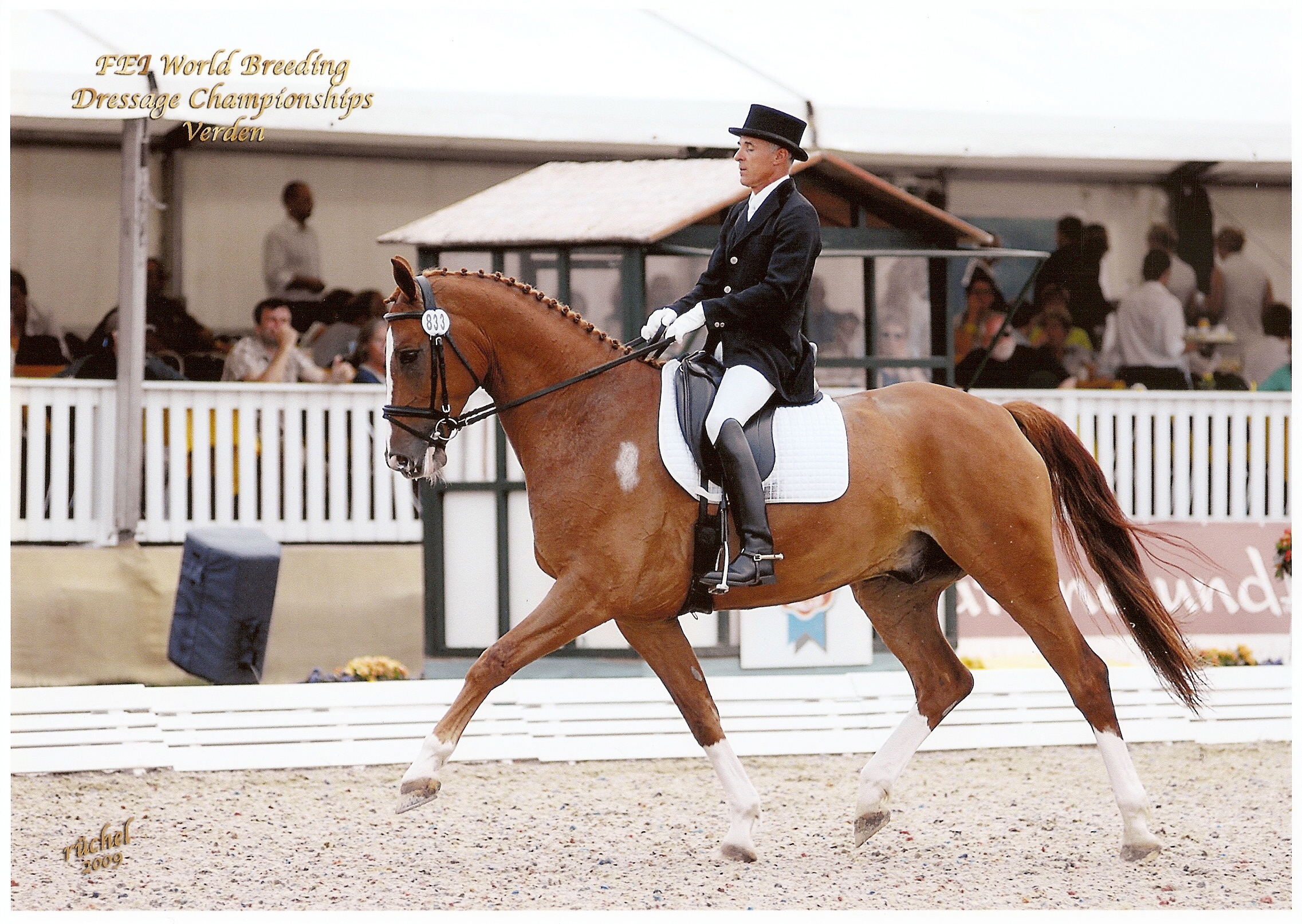 L’équitation française, un patrimoine vivant, et pour vous, Franck David ?