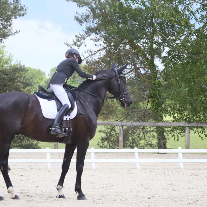 L’Équitation française, un patrimoine vivant, et pour vous, Julie Lecuyer ?