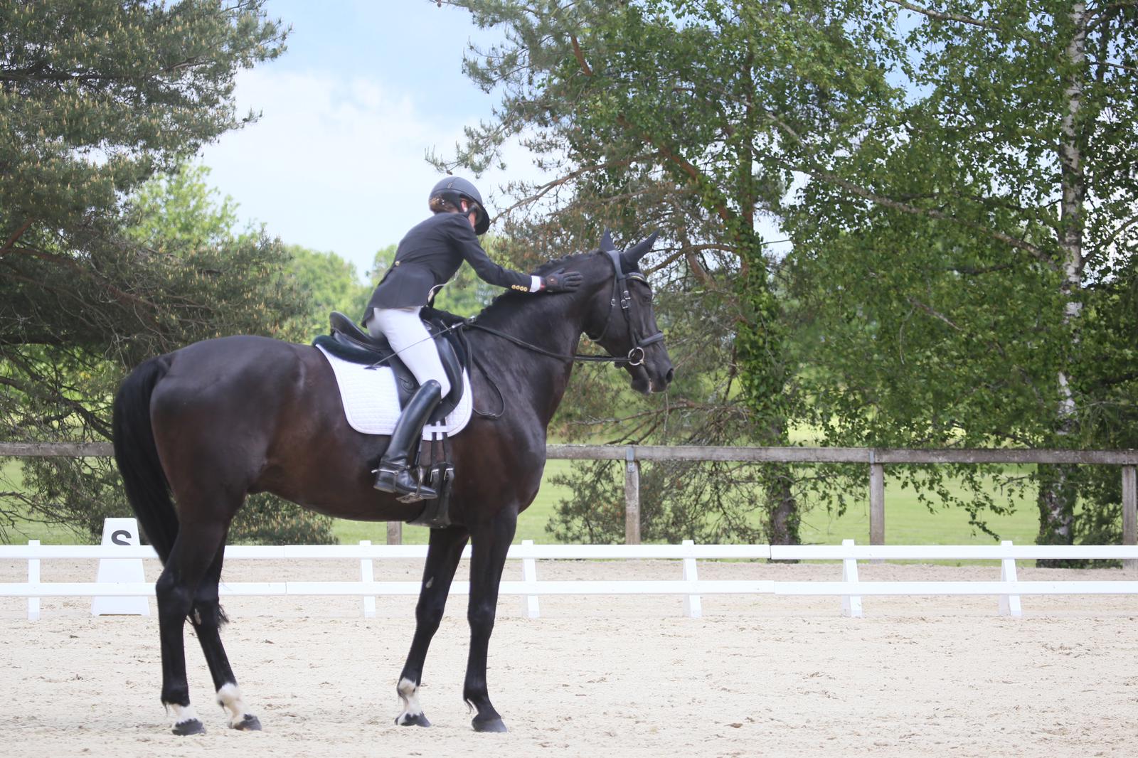 L’Équitation française, un patrimoine vivant, et pour vous, Julie Lecuyer ?