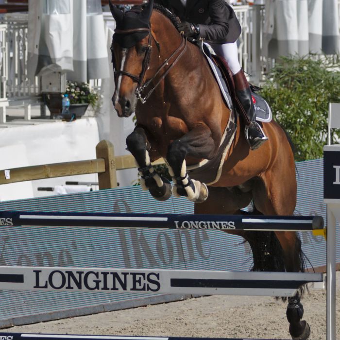 L’Équitation française, un patrimoine vivant, et pour vous, Philippe Rozier ?
