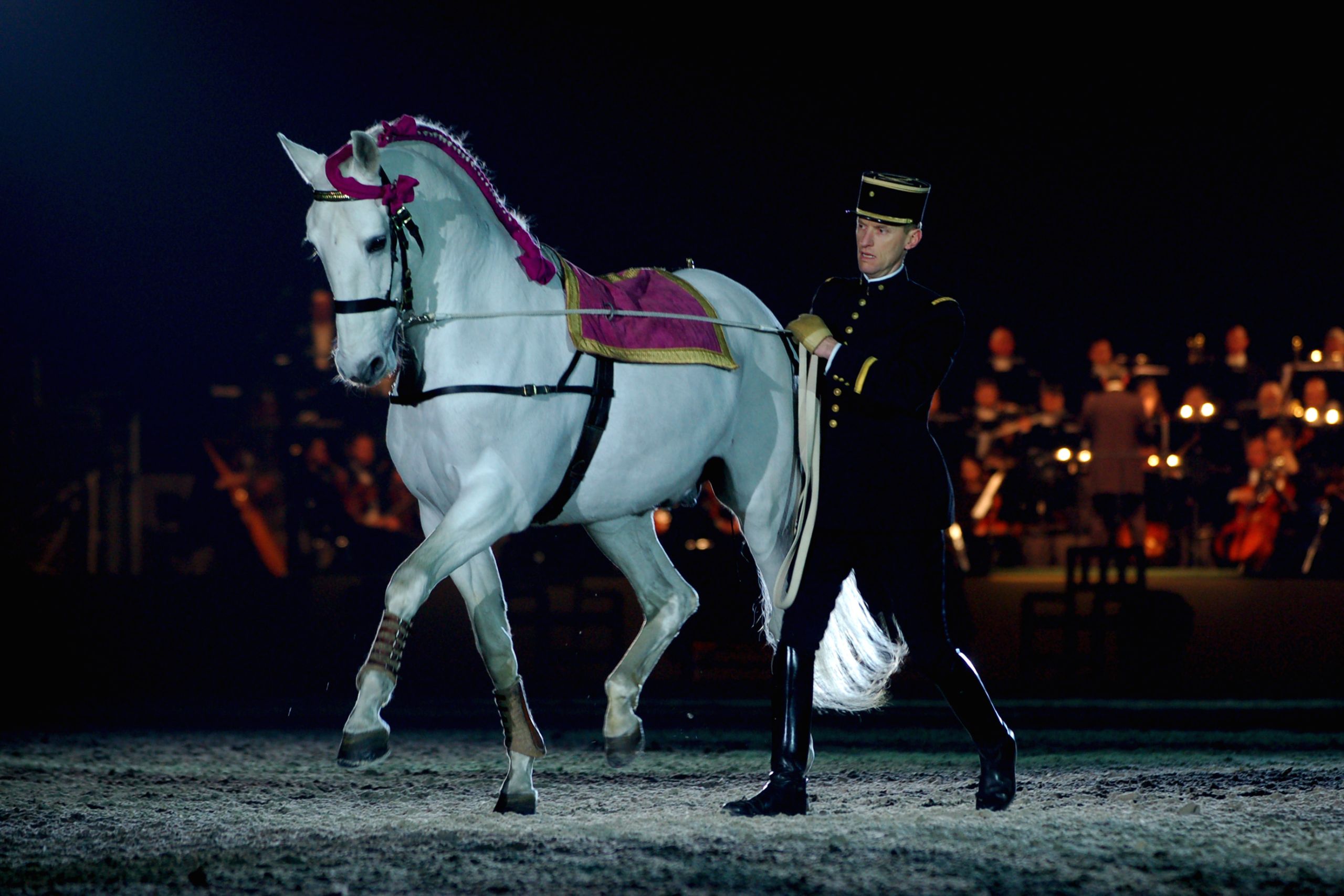 L’Équitation française, un patrimoine vivant, et pour vous, Olivier Puls ?