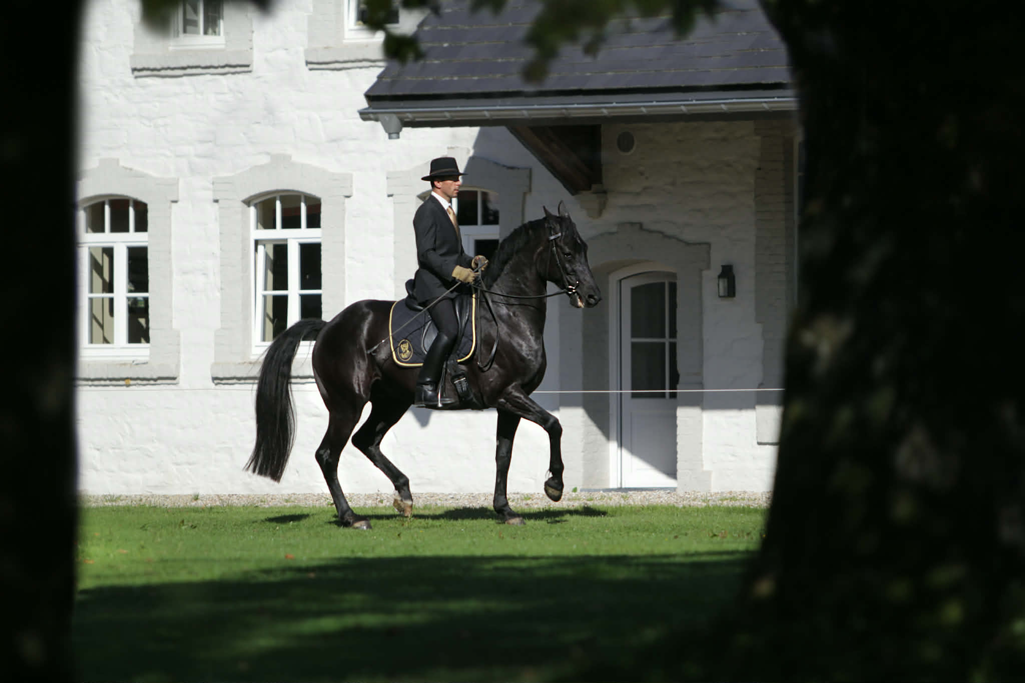 L’Équitation française, un patrimoine vivant, et pour vous, Bertrand Ravoux ?