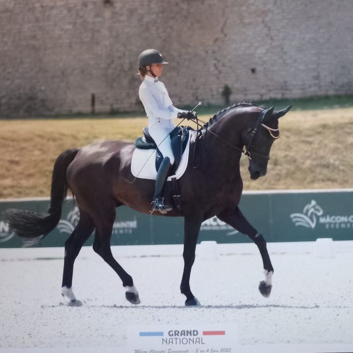 ea0ed854-6731-4d5e-9e88-0b81ca39b842