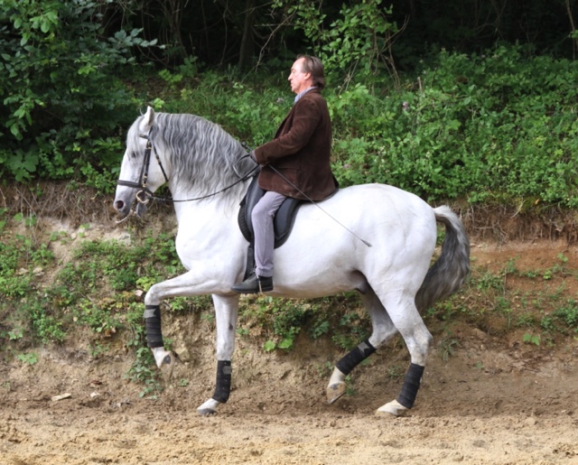 L’Équitation française, un patrimoine vivant, et pour vous, Bernard Sachsé ?