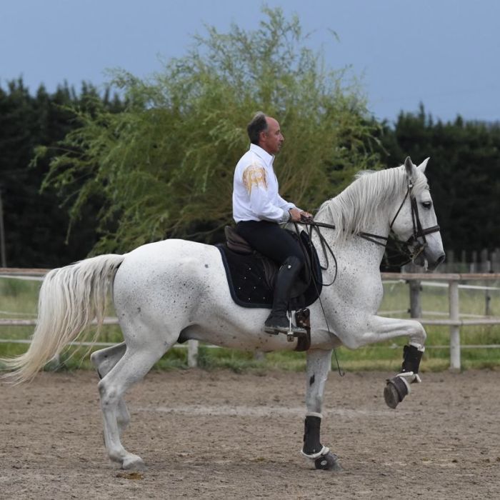L’Équitation française, un patrimoine vivant, et pour vous, Christophe Chaussy ?