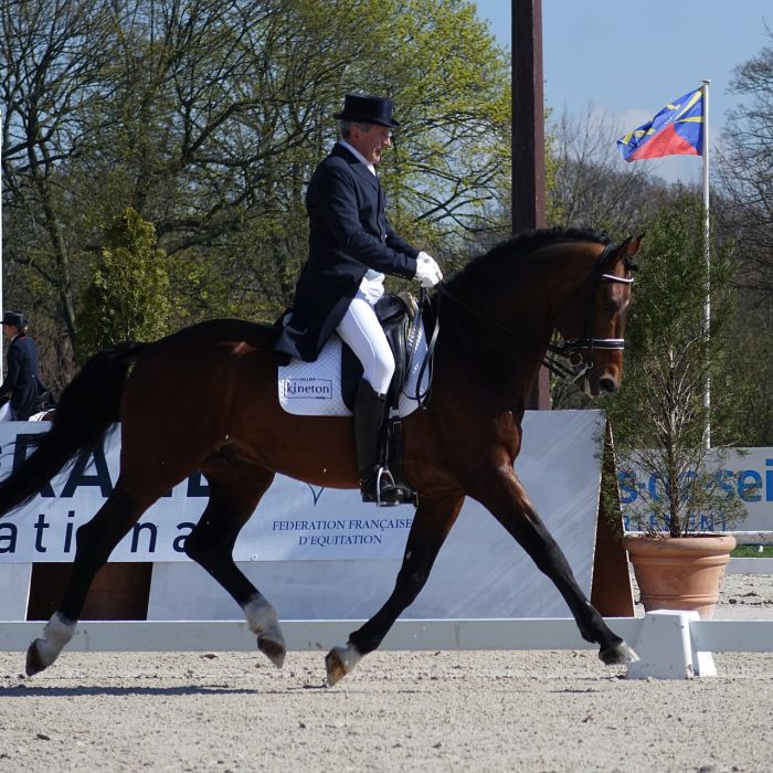 L’Équitation française, un patrimoine vivant, et pour vous, Philippe Limousin ?