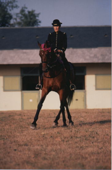 L’Équitation française, un patrimoine vivant, et pour vous, Florence Donard ?