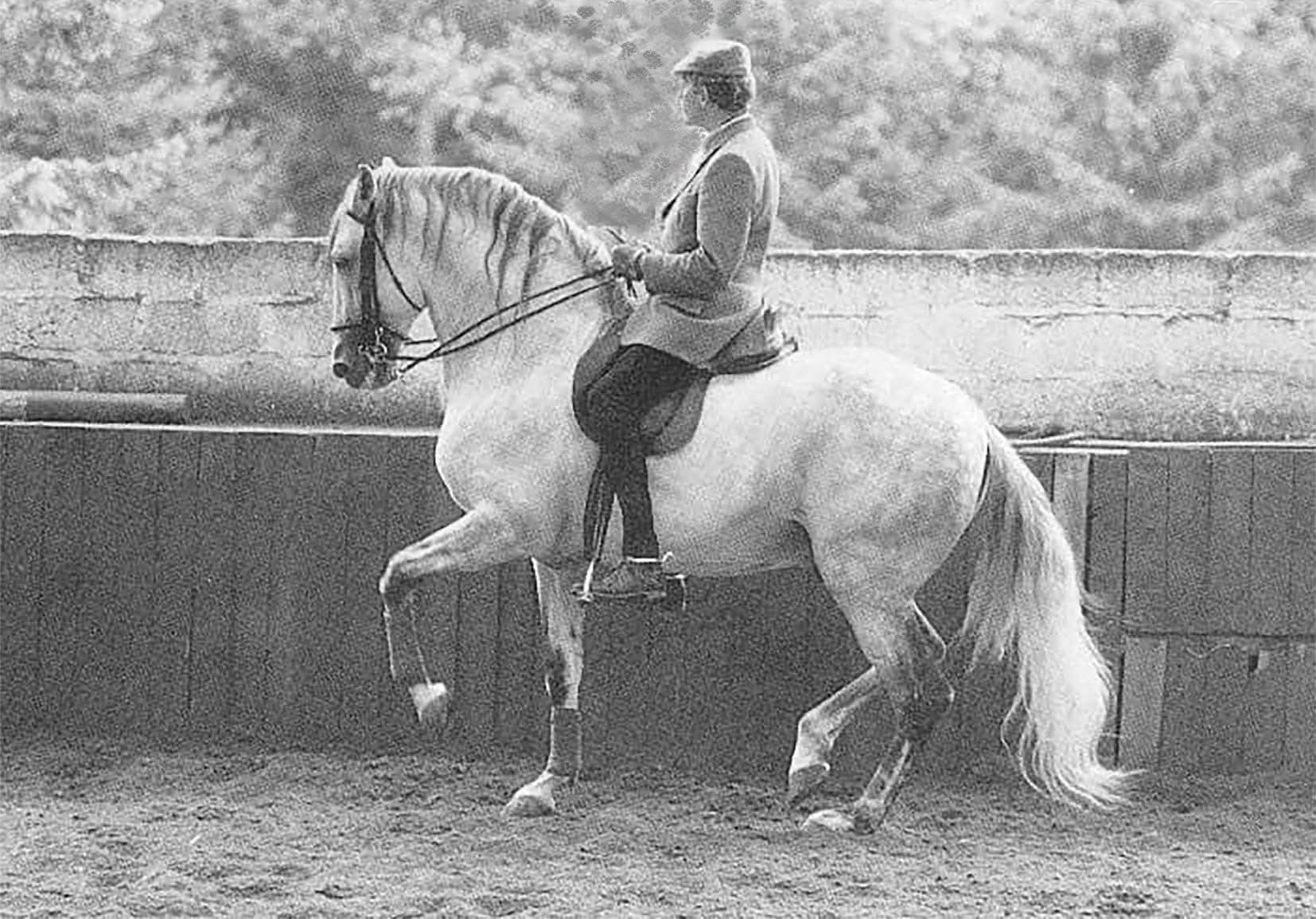 L’Équitation française, un patrimoine vivant, et pour vous, Idès Marchal ?
