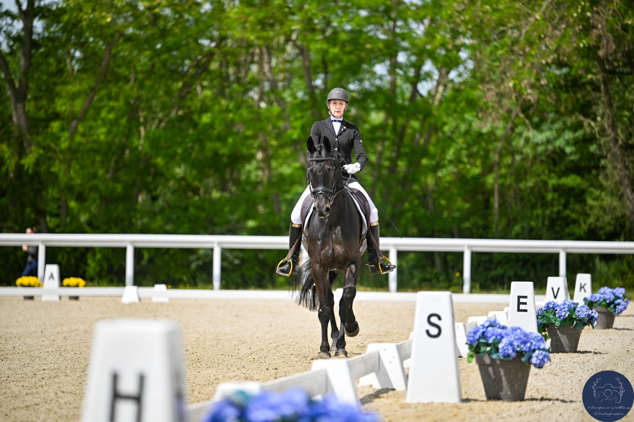 L’Équitation française, un patrimoine vivant, et pour vous, Odile Van Doorn ?