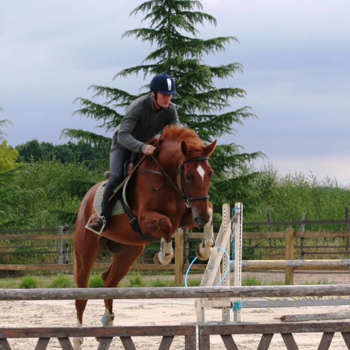 L’Équitation française, un patrimoine vivant, et pour vous, Laurent Mézailles ?