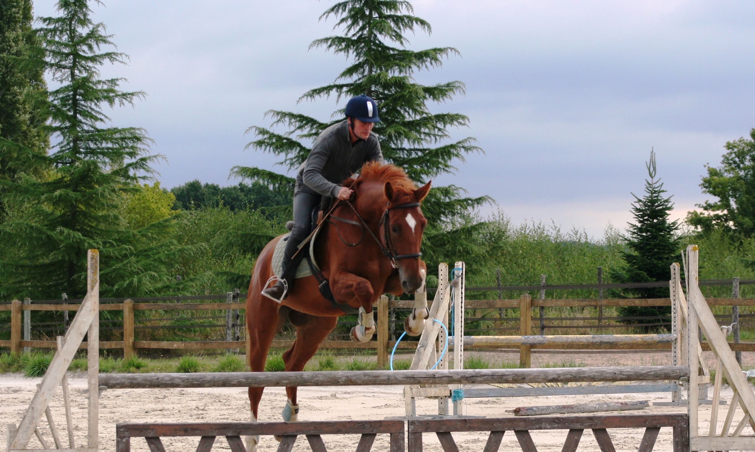 L’Équitation française, un patrimoine vivant, et pour vous, Laurent Mézailles ?